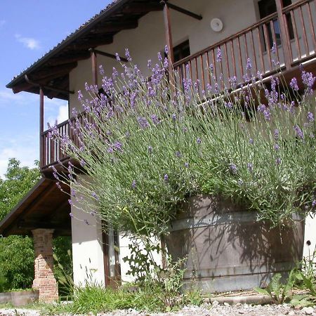 Cascina Creusa B&B Pocapaglia Luaran gambar
